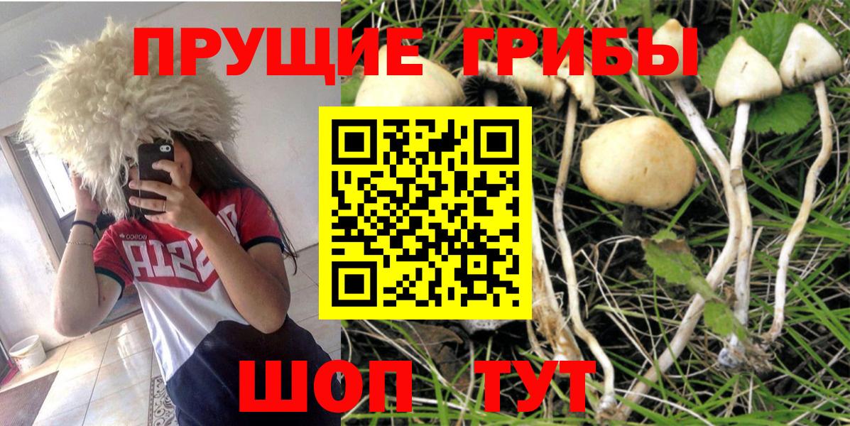 закладка  Псилоцибиновые грибы Psilocybine cubensis  Вышний Волочёк  Вход с VPN  Галлюциногенные грибы ЛСД 