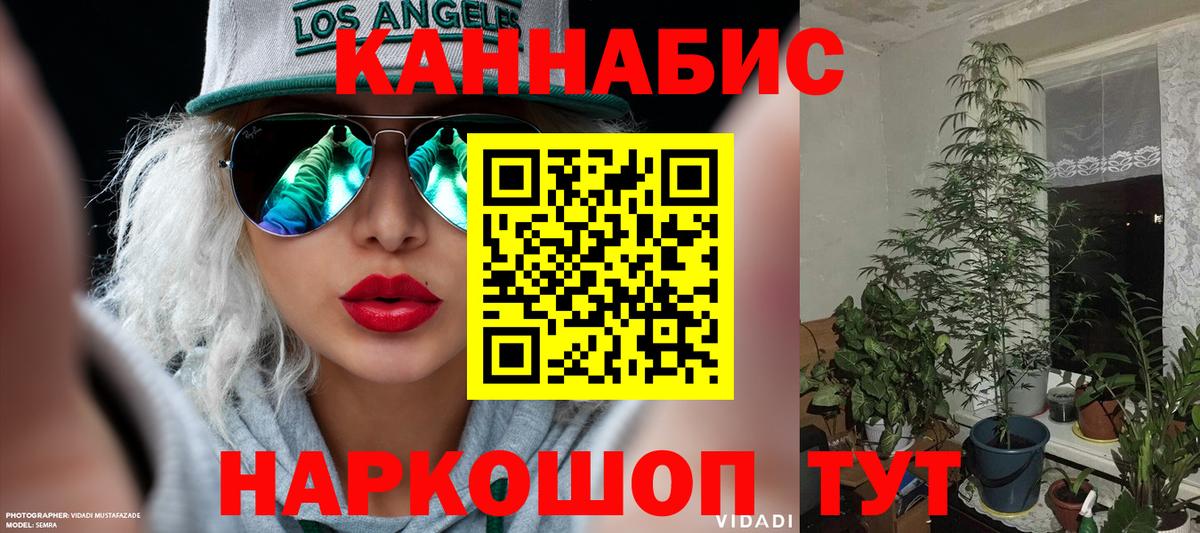 Вышний Волочёк  Шишки марихуана планчик  Вход с VPN  Каннабис OG Kush  Шишки марихуана MAZAR 
